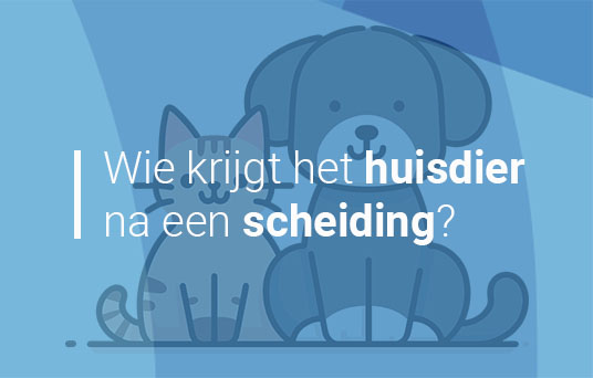 Wij gaan scheiden en hebben samen een huisdier, wat nu?