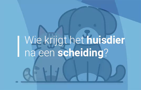 Wij gaan scheiden en hebben samen een huisdier, wat nu?